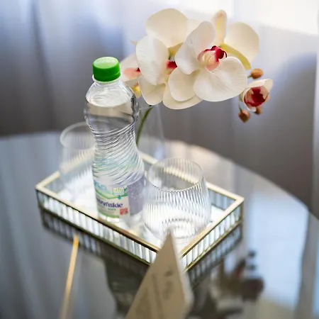 Apartament Grey Comfort 24H Centrum Bytom Parking Διαμέρισμα