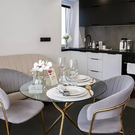 Apartament Grey Comfort 24H Centrum Bytom Parking Διαμέρισμα *